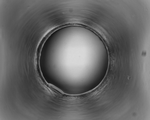 X0000098231076200805011252