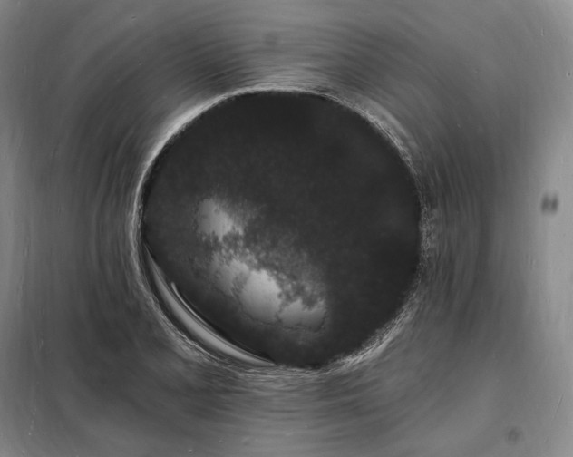 X0000098231077200805011252