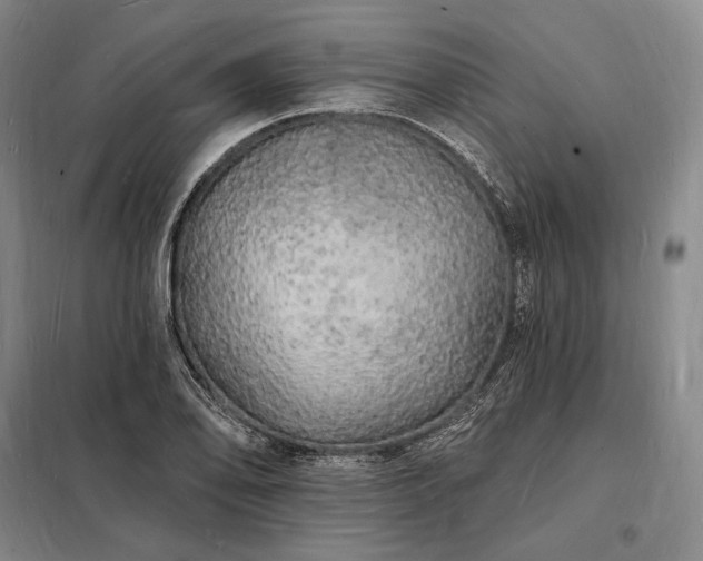 X0000098231078200805011252