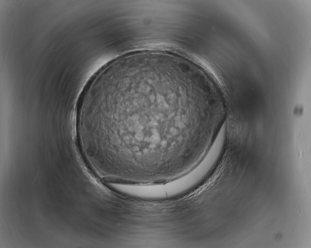 X0000098231079200805011252