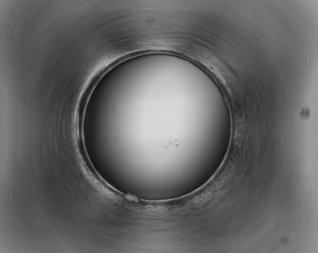 X0000098231080200805011252