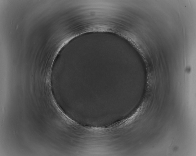 X0000098231081200805011252