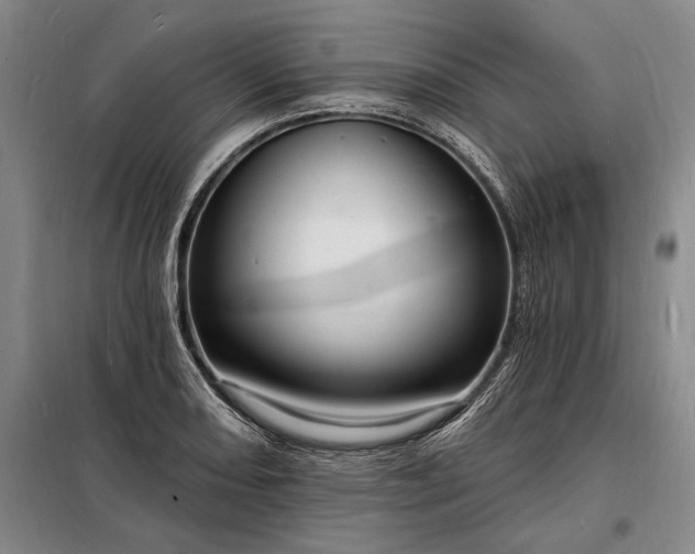 X0000098231082200805011252