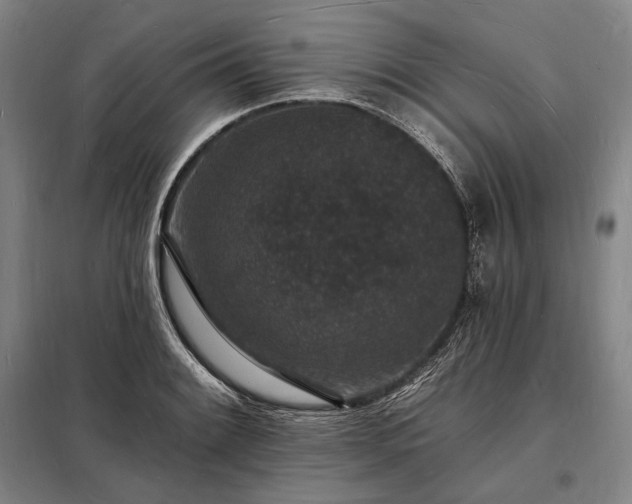 X0000098231084200805011252