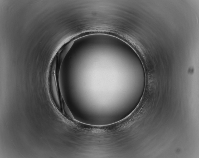X0000098231085200805011252