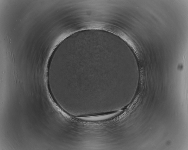 X0000098231088200805011252