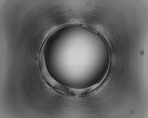 X0000098231089200805011252