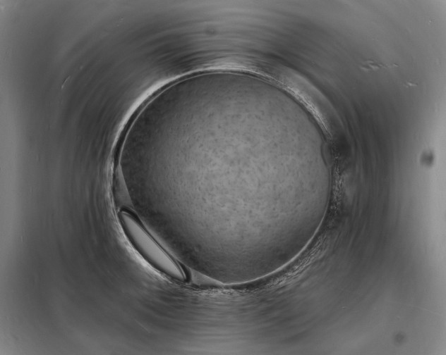 X0000098231092200805011252