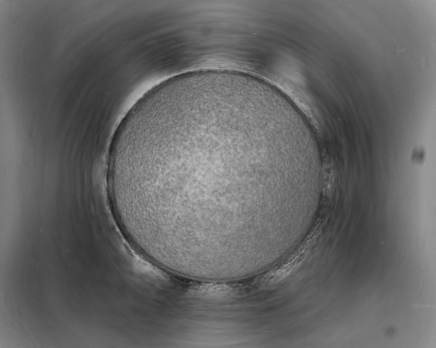 X0000098231094200805011252