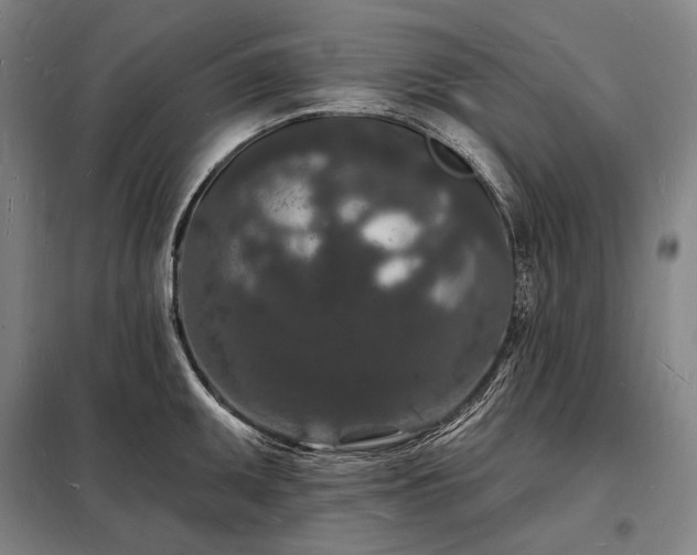 X0000098231095200805011252
