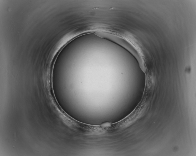 X0000098231101200805011252