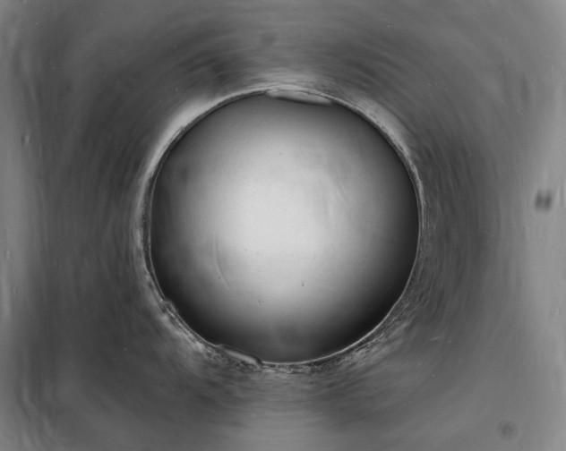 X0000098231104200805011252
