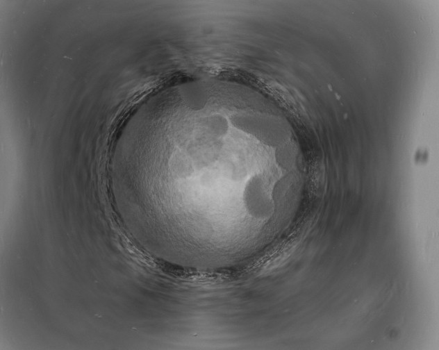 X0000098231105200805011251