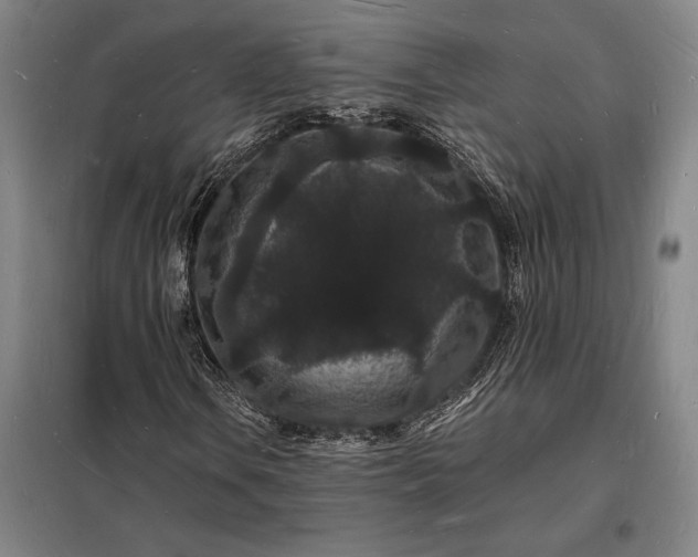X0000098231106200805011251