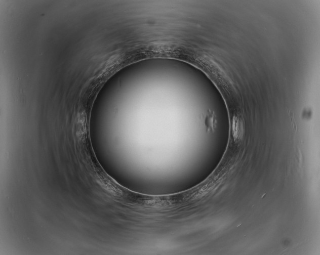 X0000098231107200805011251