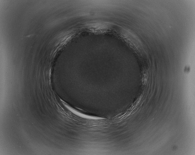X0000098231108200805011251