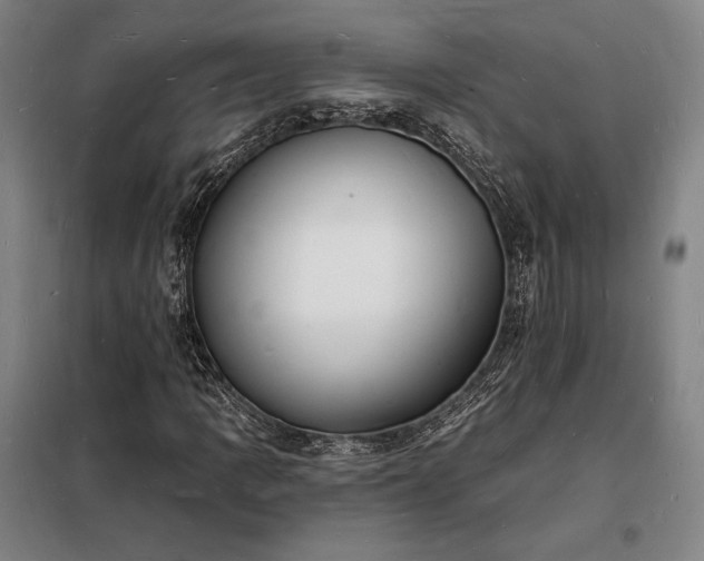 X0000098231109200805011251