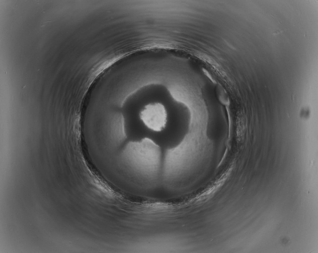 X0000098231113200805011251