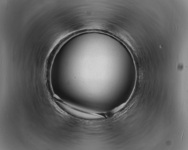 X0000098231116200805011251