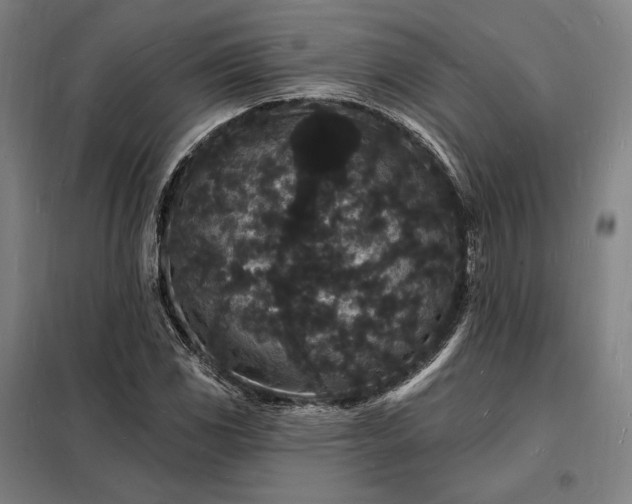X0000098231117200805011251