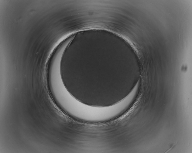 X0000098231118200805011251