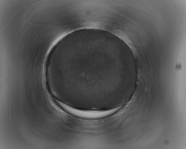 X0000098231120200805011251