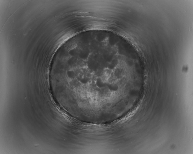 X0000098231121200805011251