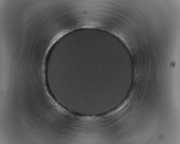 X0000098231122200805011251