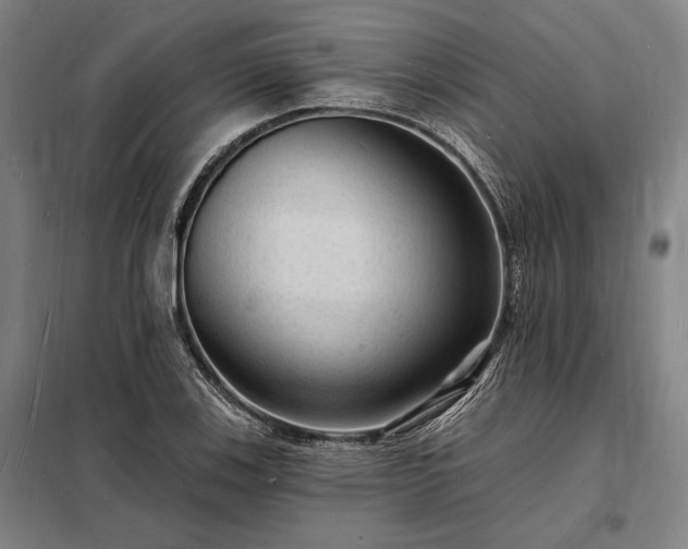 X0000098231123200805011251