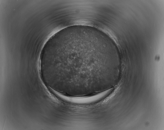 X0000098231125200805011251