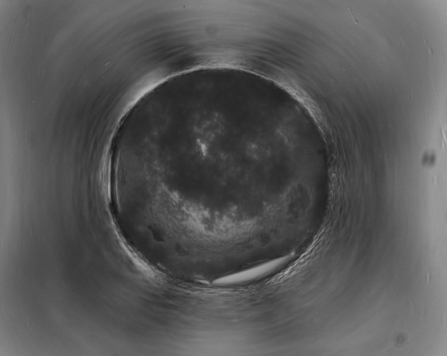 X0000098231127200805011251
