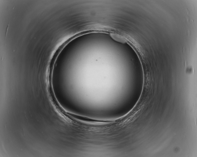 X0000098231128200805011251