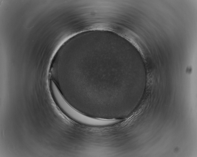 X0000098231132200805011251
