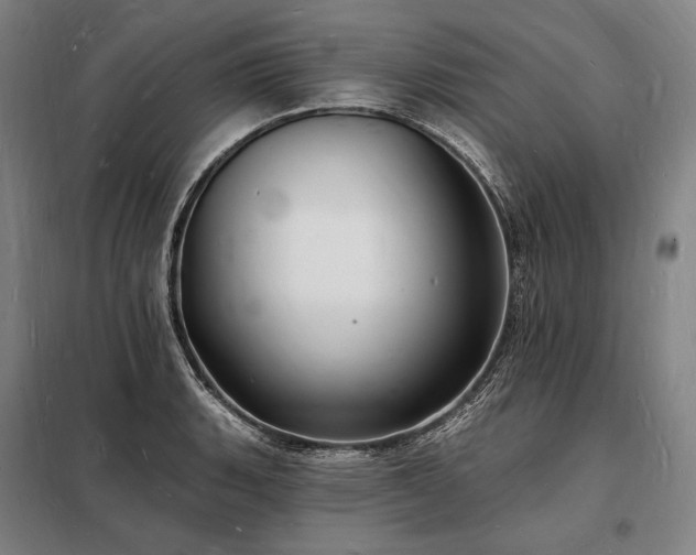 X0000098231135200805011251