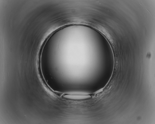 X0000098231136200805011251