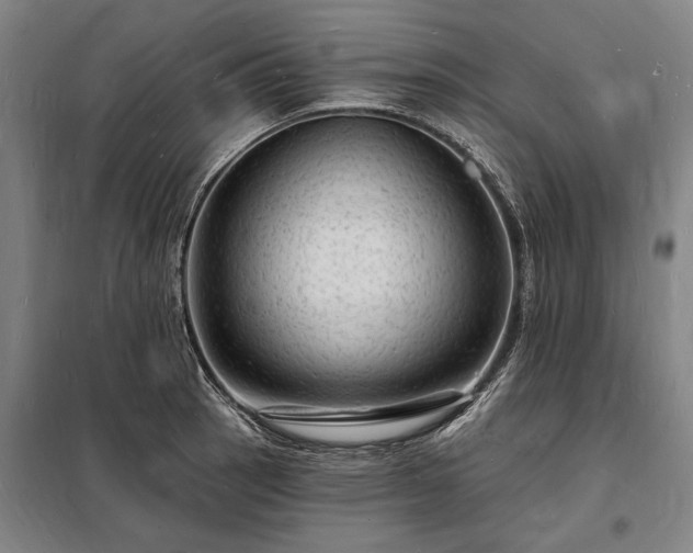X0000098231137200805011251