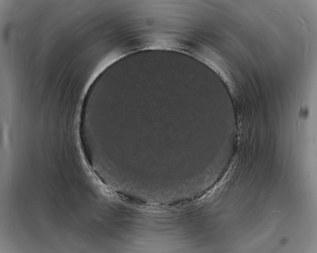 X0000098231138200805011251