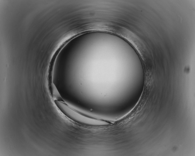 X0000098231139200805011251