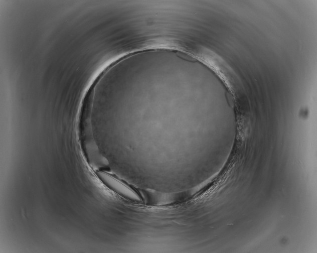 X0000098231140200805011251