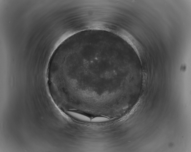 X0000098231141200805011251