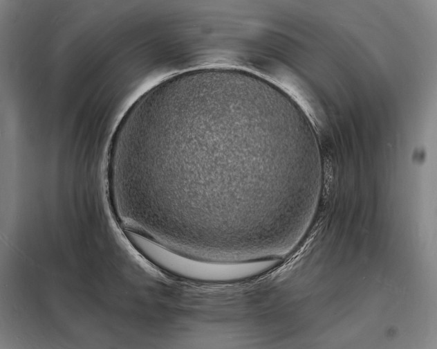 X0000098231142200805011251