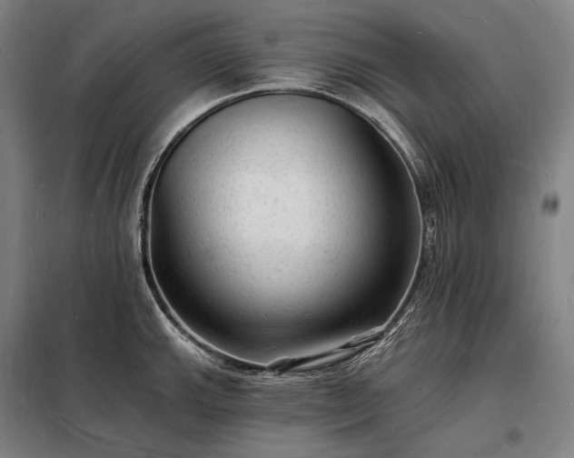 X0000098231143200805011251