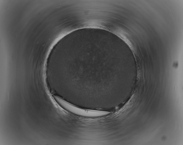 X0000098231144200805011251