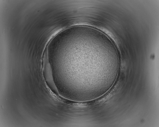 X0000098231145200805011251