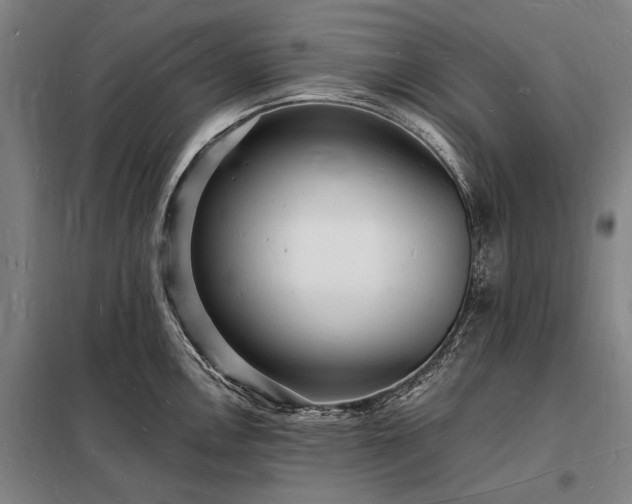 X0000098231146200805011251