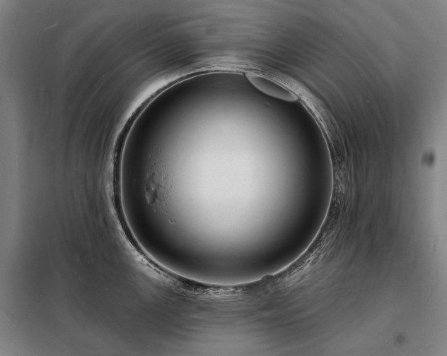 X0000098231147200805011251