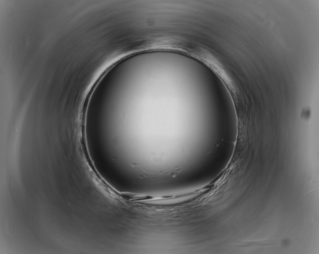 X0000098231148200805011252