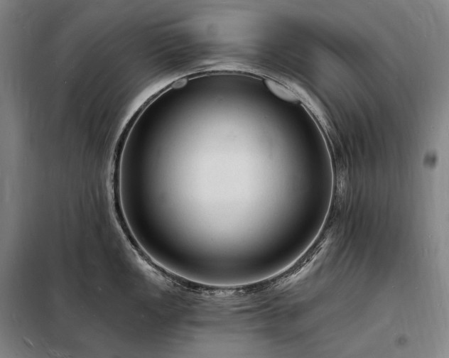 X0000098231149200805011252