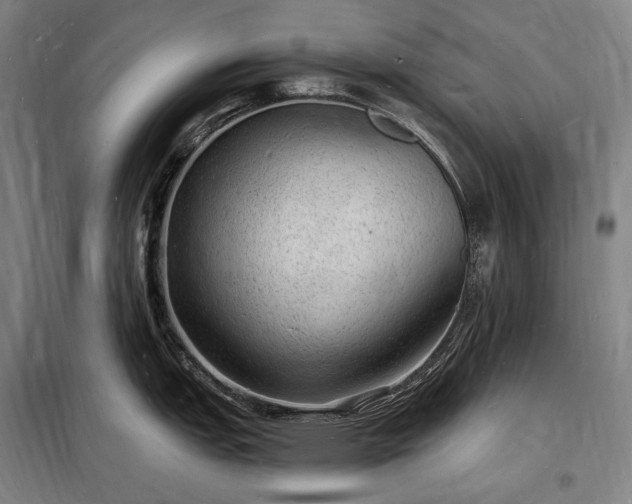 X0000098231151200805011252