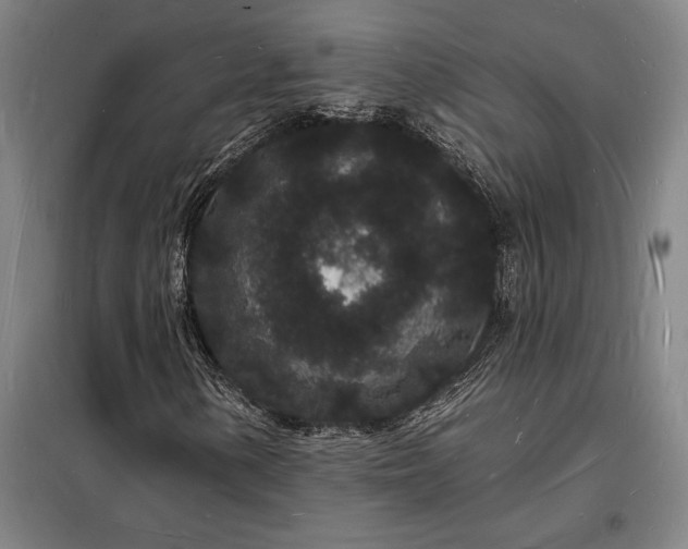 X0000098231154200805011251